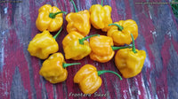 Frontera Sweet - Pepper Seeds - White Hot Peppers